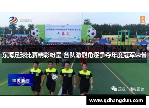 东海足球比赛精彩纷呈 各队激烈角逐争夺年度冠军荣誉